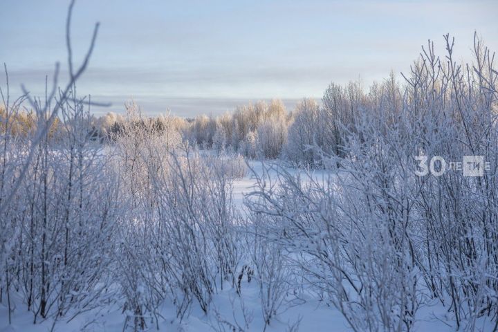 Погода на 22 ноября в Рыбной Слободе