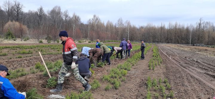 Марат Ахметов:"Люблю находиться на природе, с приходом в лес настроение становится другим"