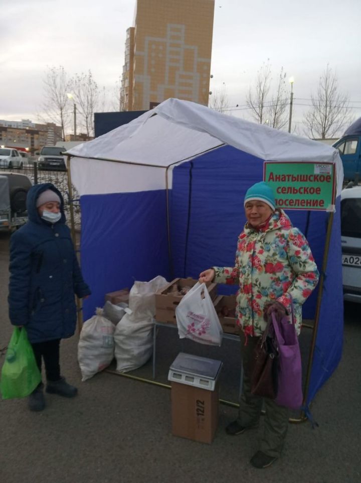 В Татарстане цены на овощи станут ниже благодаря ярмаркам