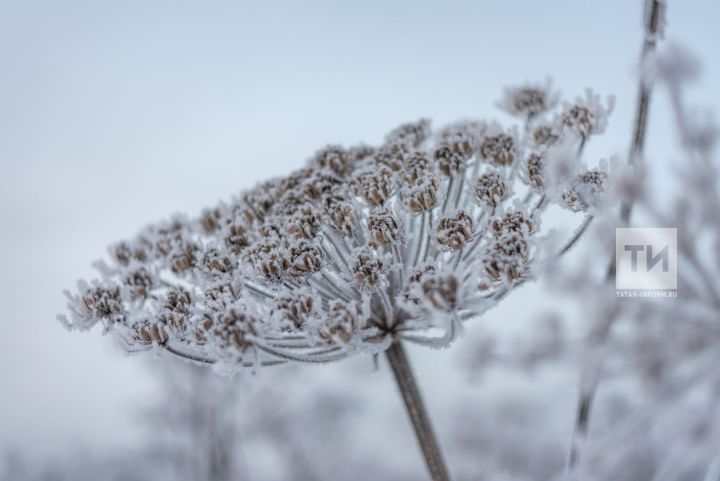 Прогноз погоды на 27 ноября