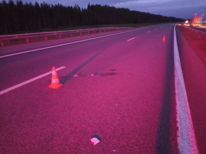 В Рыбно-Слободском районе совершен наезд на пешехода