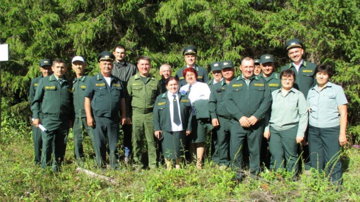 Рыбнослободская молодёжь активно занимается восстановлением леса в районе