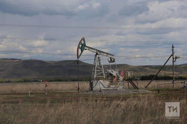 В Рыбно-Слободском районе добывают нефть