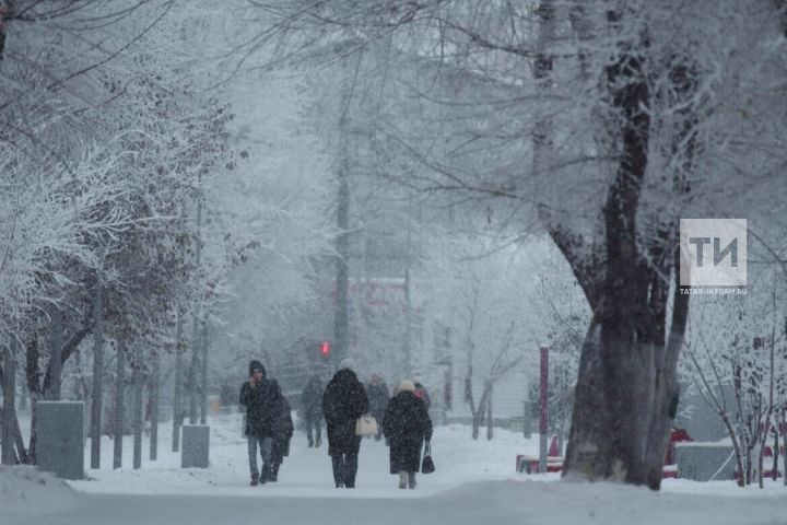 Стало известно, когда в Татарстане выпадет первый снег