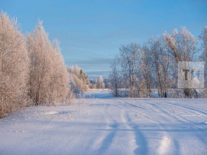 Гороскоп на 17 декабря