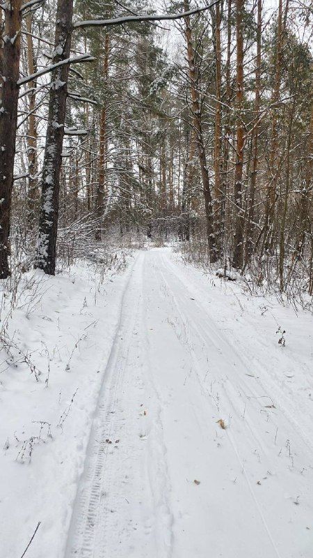 Погода на 23 декабря в Рыбно-Слободском районе