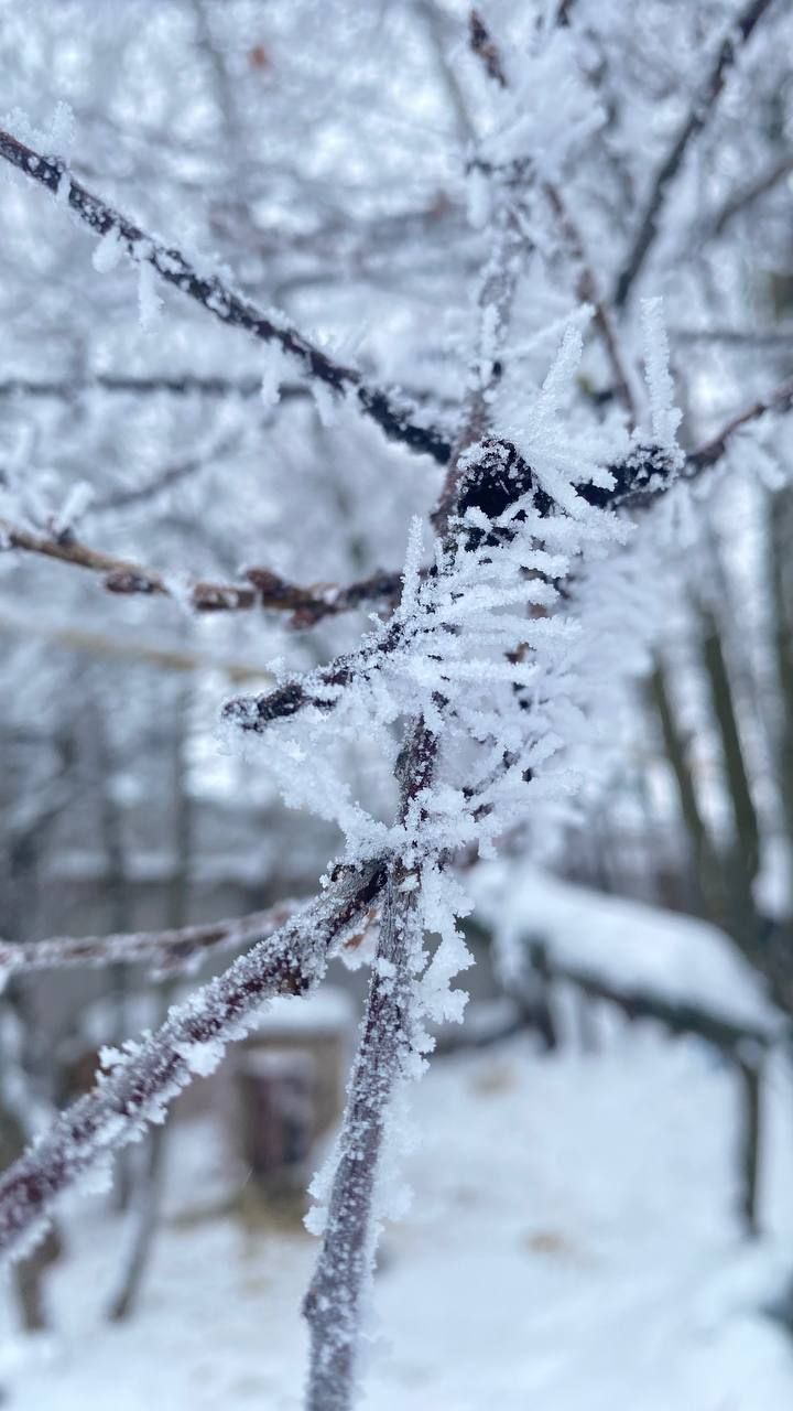 Прогноз погоды на сегодня