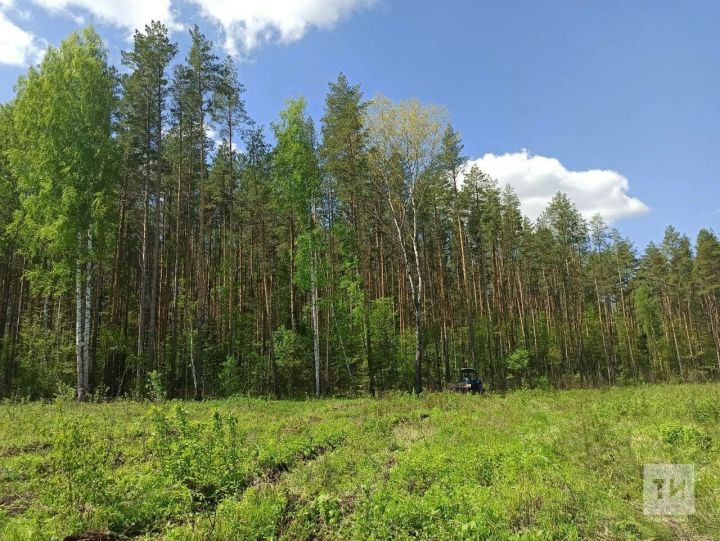 В Татарстане лесники будут осматривать угодья с помощью дронов