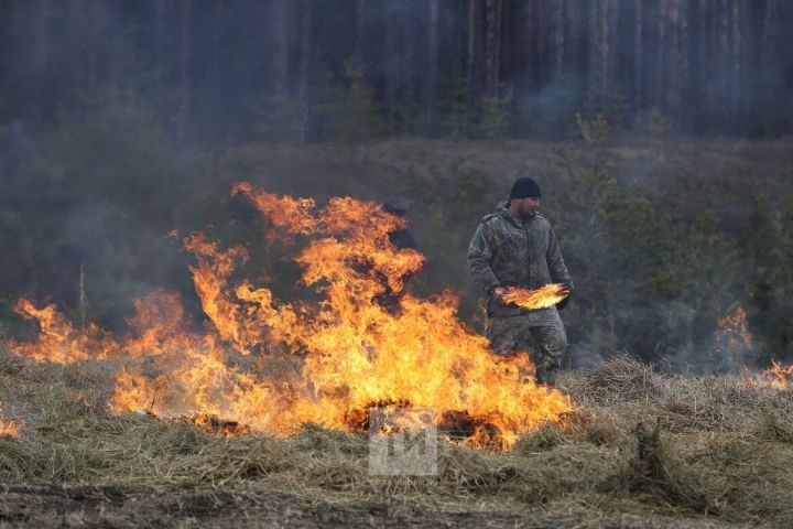 В Рыбно - Слободском районе вводится особый противопожарный режим