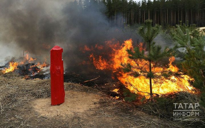 В Татарстане начал действовать особый противопожарный режим